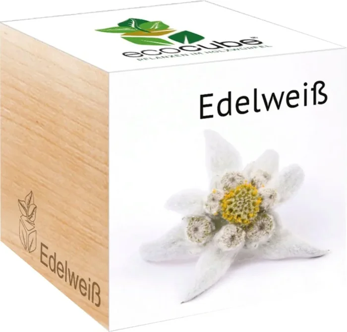 Feel Green ecocube „Edelweiß“, Original Edelweiß