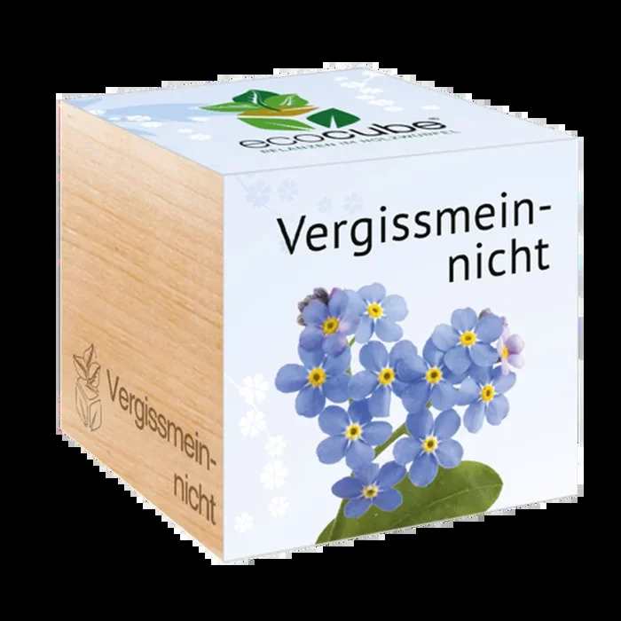 Feel Green ecocube „Vergissmeinnicht“