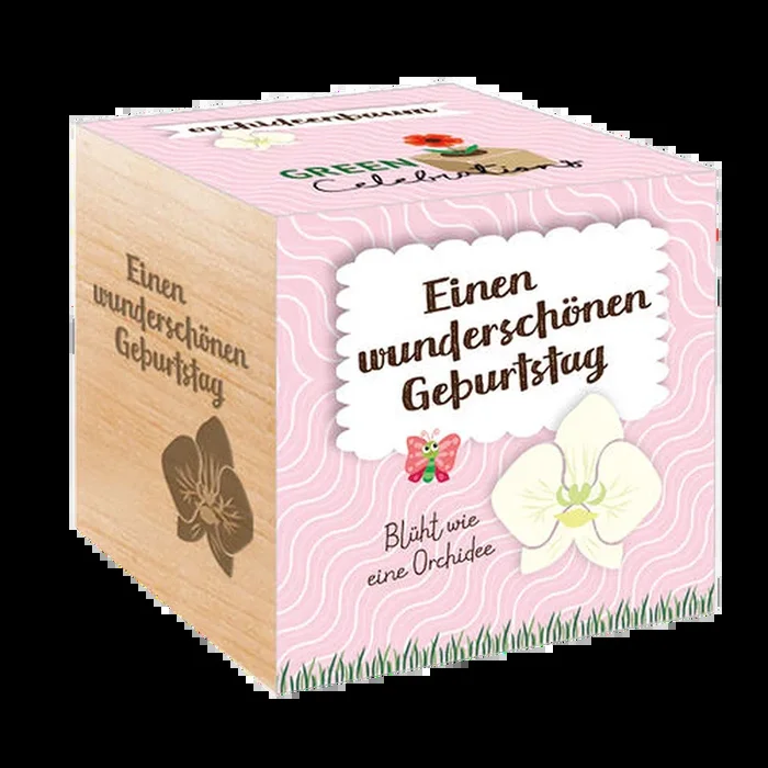 Feel Green Green Celebrations „Orchideenbaum“ zum Geburtstag