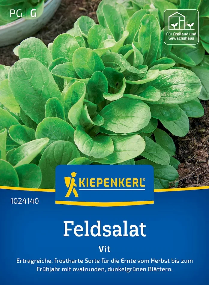 Feldsalatsamen Vit