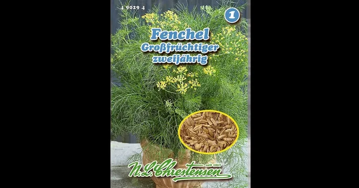 Fenchel,Großfrüchtiger, zweijährig