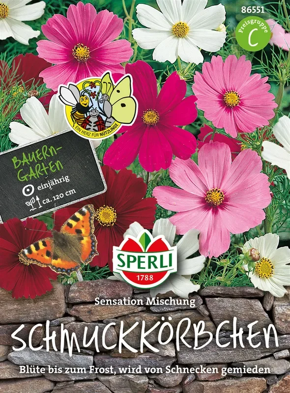 Fiederblättriges Schmuckkörbchen ‚Sensation‘