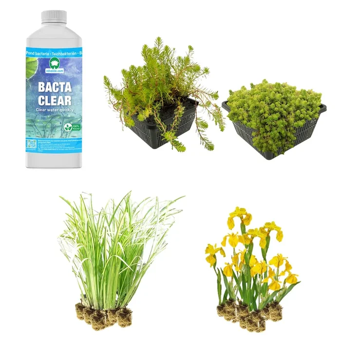 Filter plants 1-2m2
