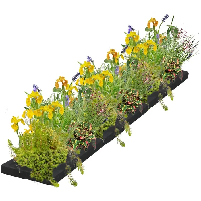 Floating Plant Filter