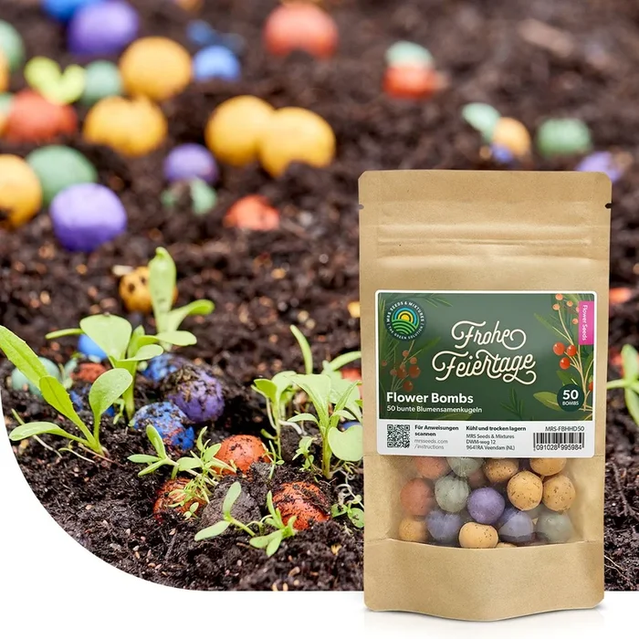 Flower Bombs – Samenbomben mix – Frohe Feiertage!