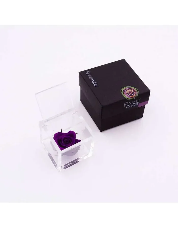Flowercube 10 x 10 Stabilisierte Lila Rose