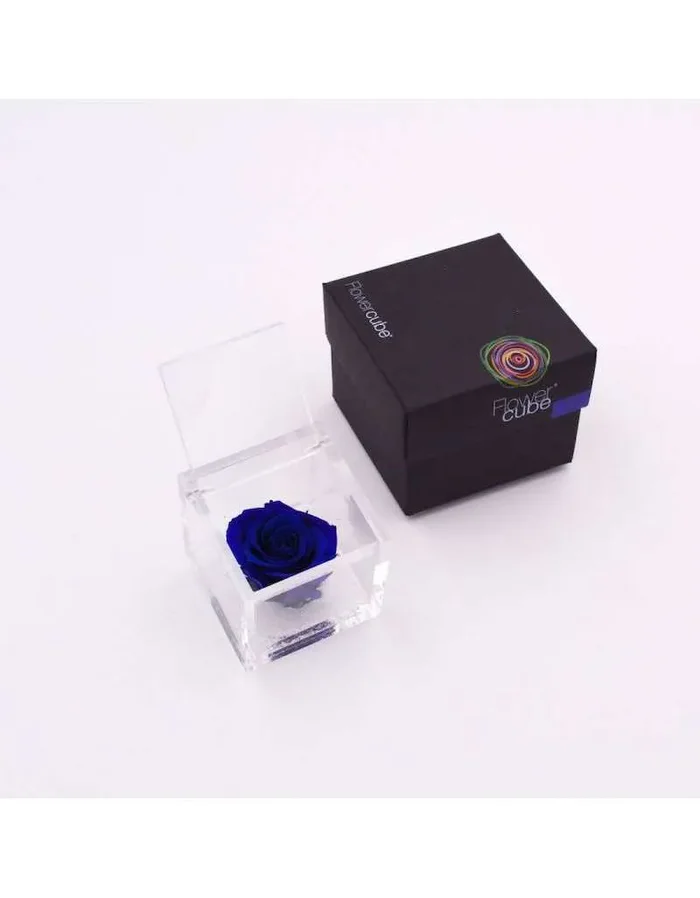 Flowercube 12 x 12 Stabilisiert Rosa Blau