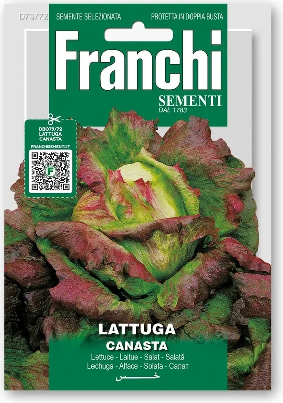 Franchi Sementi Salat „Canasta“