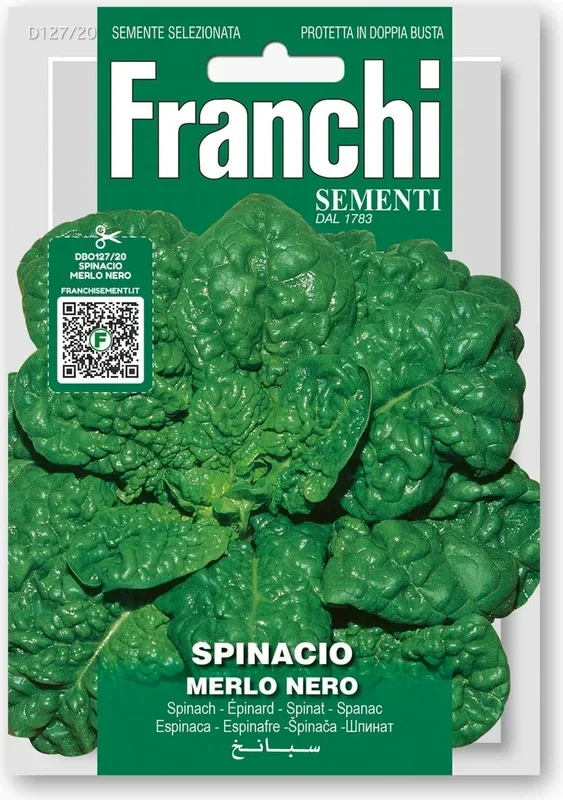 Franchi Sementi Spinat „Merlo Nero“