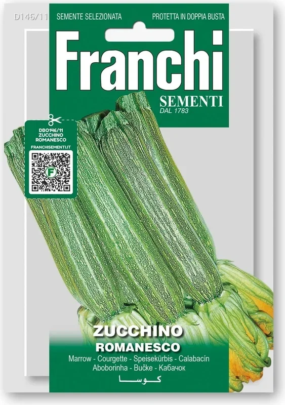 Franchi Sementi Zucchini „Romanesco“
