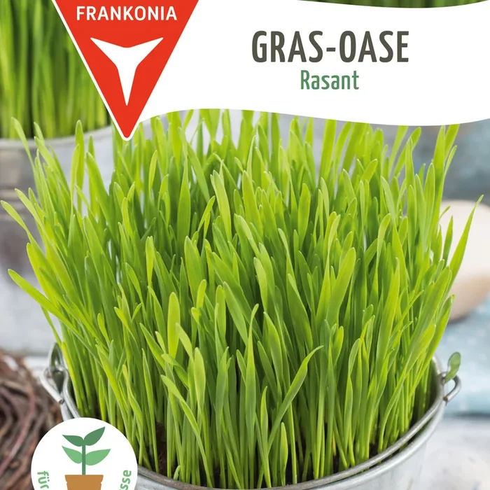 Frankonia Samen Gräser Rasant