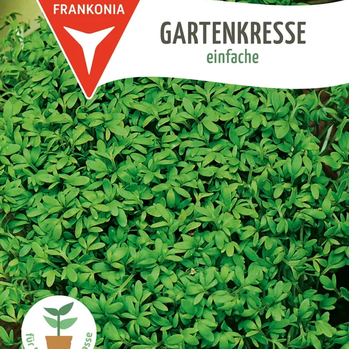 Frankonia Samen Kresse einfache Vorteilspackung