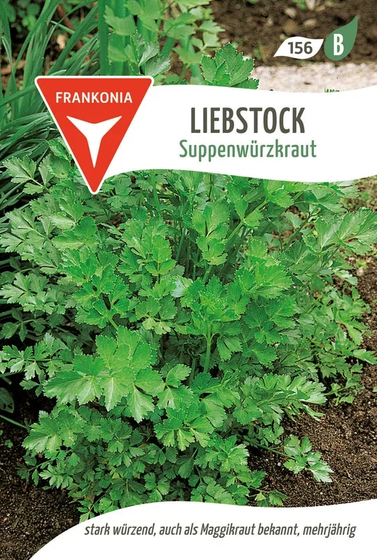 Frankonia Samen Liebstöckel Suppenwürzkraut