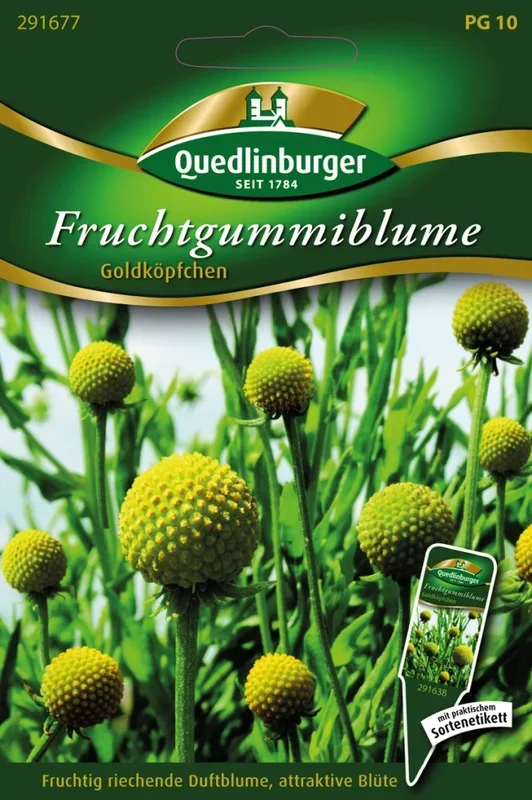 Fruchtgummiblume