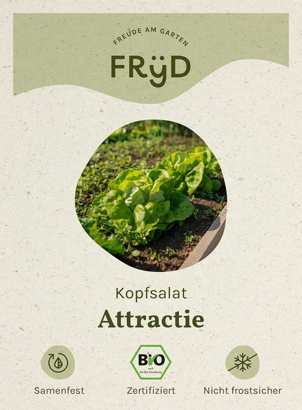 Fryd BIO Kopfsalat Attractie