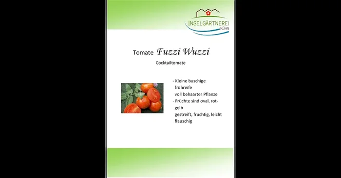 Fuzzi Wuzzi