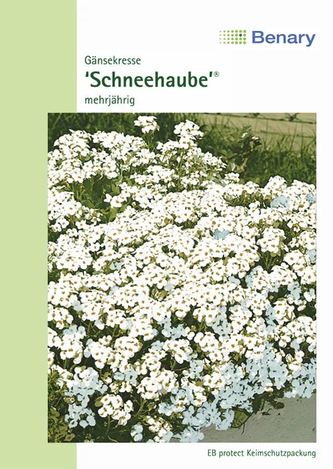 Gänsekresse Schneehaube [MHD 12/2025]