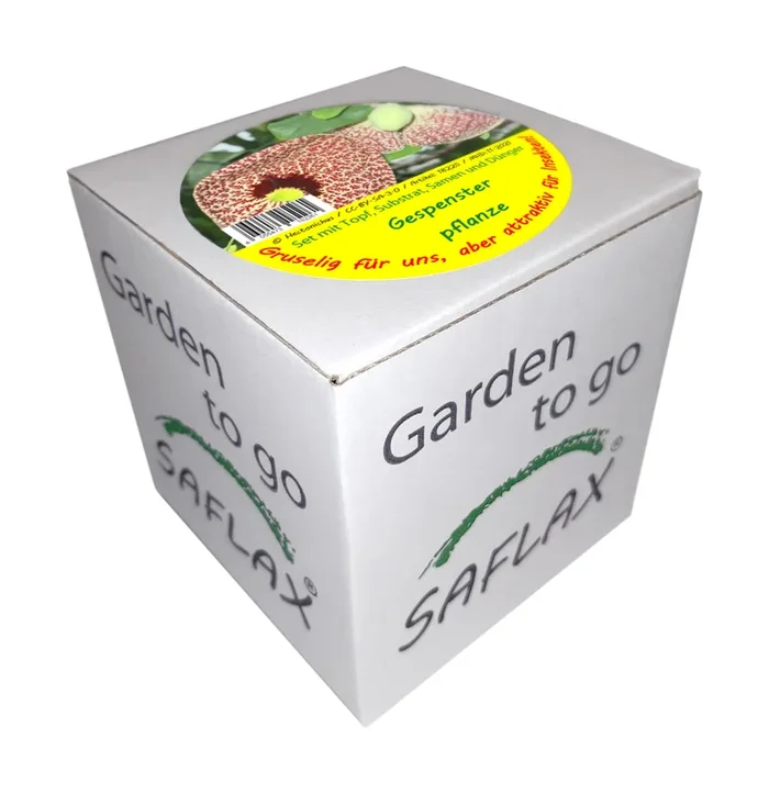 Garden to Go Gespensterpflanze