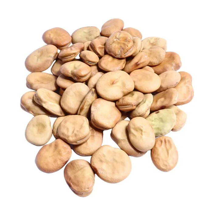 GardenTaurus Puffbohnen (Grosse Bohnen) Frühe Weißkeimige „Witkiem“ 200g