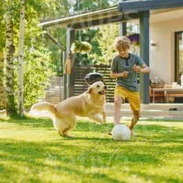 Garten- und Spielrasen – Rasensamen