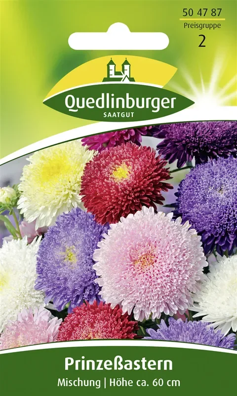 Gartenastersamen ‚Prinzess‘
