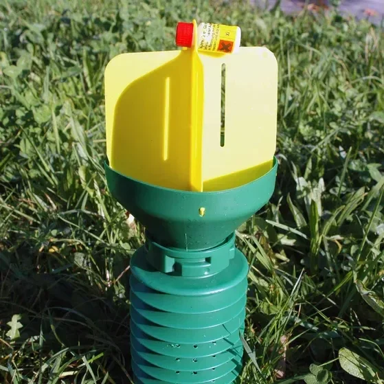 Gartenlaubkäfer Dispenser – Phyllopertha horticola