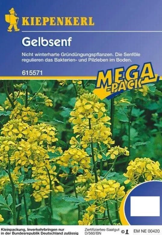 Gelbsenf Gründünger Einzelsaat 80g – 2 kg für 20 – 400 m² Fläche nachhaltige Bodenverbesserung