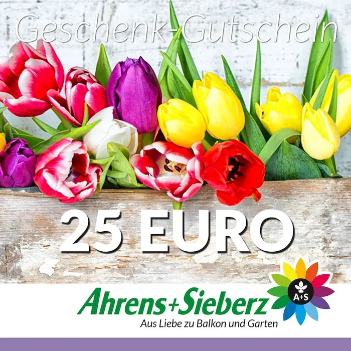 Geschenk-Gutschein, Wert 25 Euro Tulpen Bestellnummer 9999816
