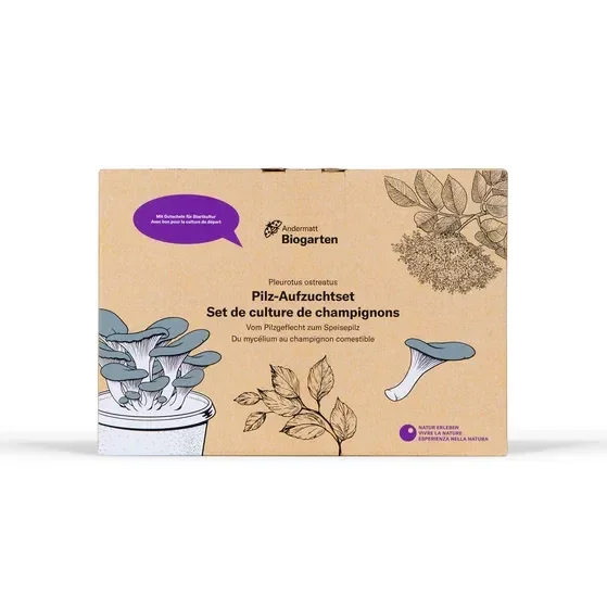Geschenkbox Pilz-Aufzuchtset mit Gutschein