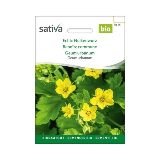 Geum urbanum Echte Nelkenwurz Biosamen hp45