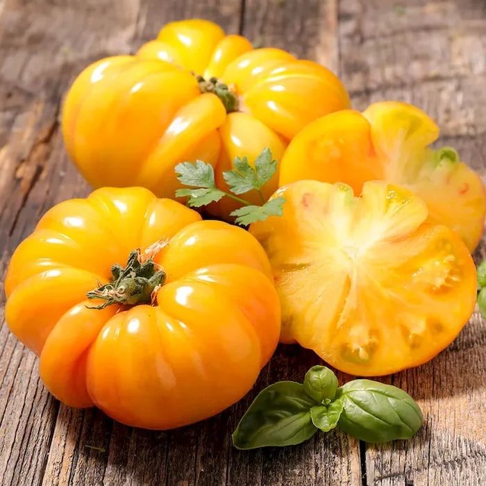 Golden Ananas-Tomate Bestellnummer 6684055