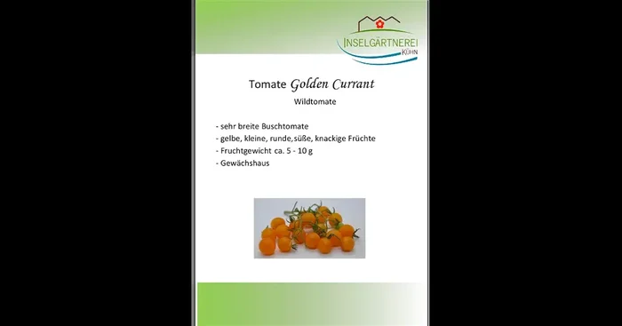 Golden Currant