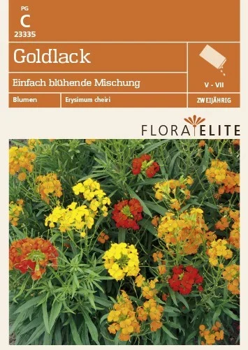 Goldlack Einfach blühende Mischung [MHD 06/2022]