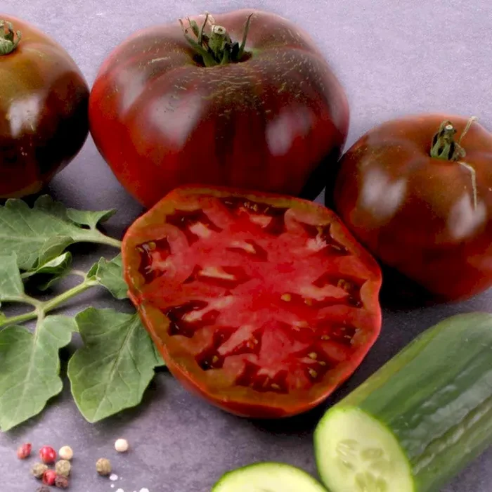 Gourmet-Tomate ‚Schwarze Krim‘ Bestellnummer 6653702