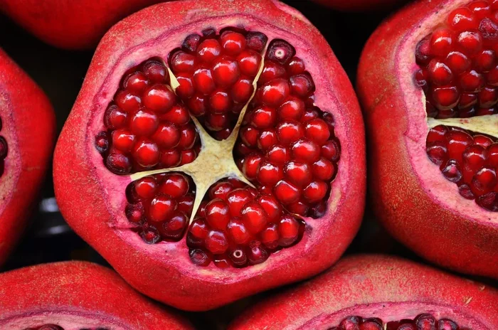 Granatapfel – Punica Granatum – Obstbaum – Granatäpfel – Granatapfel Baum
