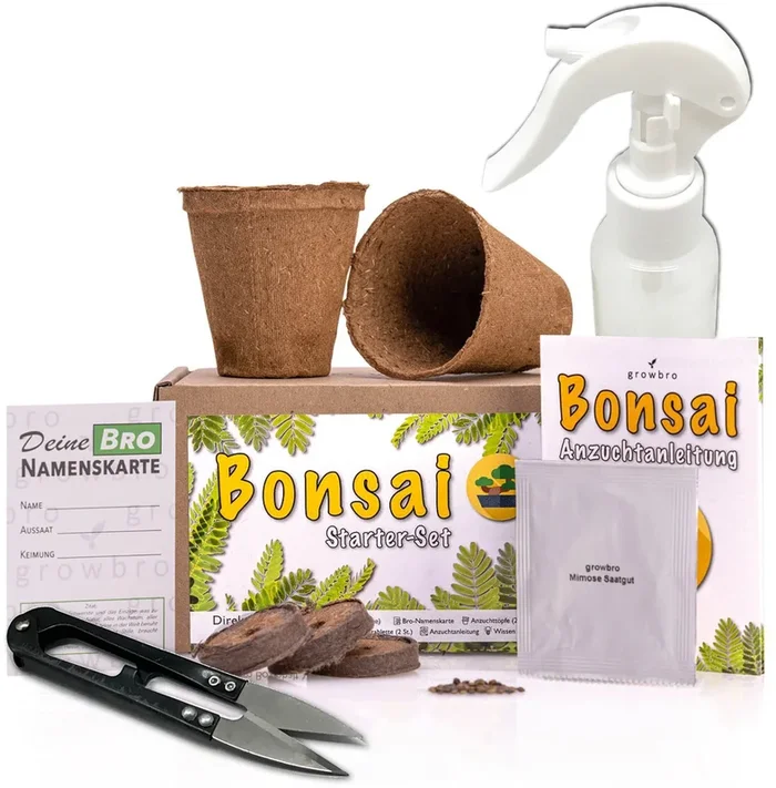 growbro Bonsai „Wisteria“ Anzucht-Set