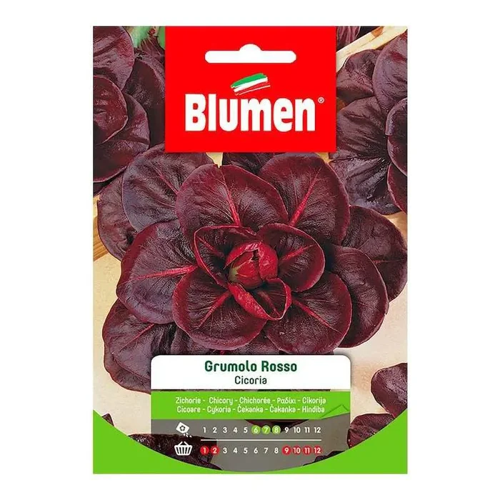 Grumolo Rosso Chicorée-Samen im Beutel