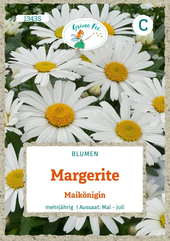 Grüne Fee Margeriten Maikönigin