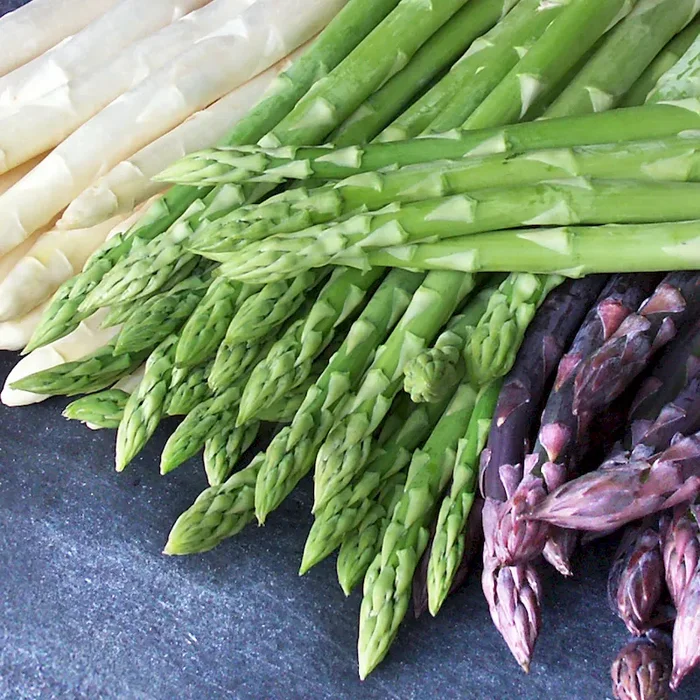 Grünspargel ‚Steiniva‘ F1 Bestellnummer 4410113