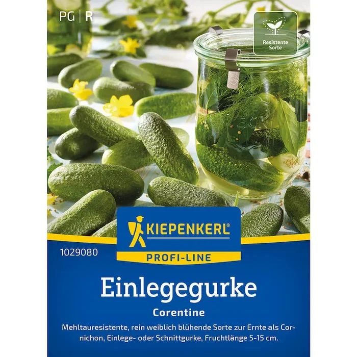 Gurke ‚Corentine‘ (Einlegegurke), F1 Cucumis sativus – Bestellnummer 9901706