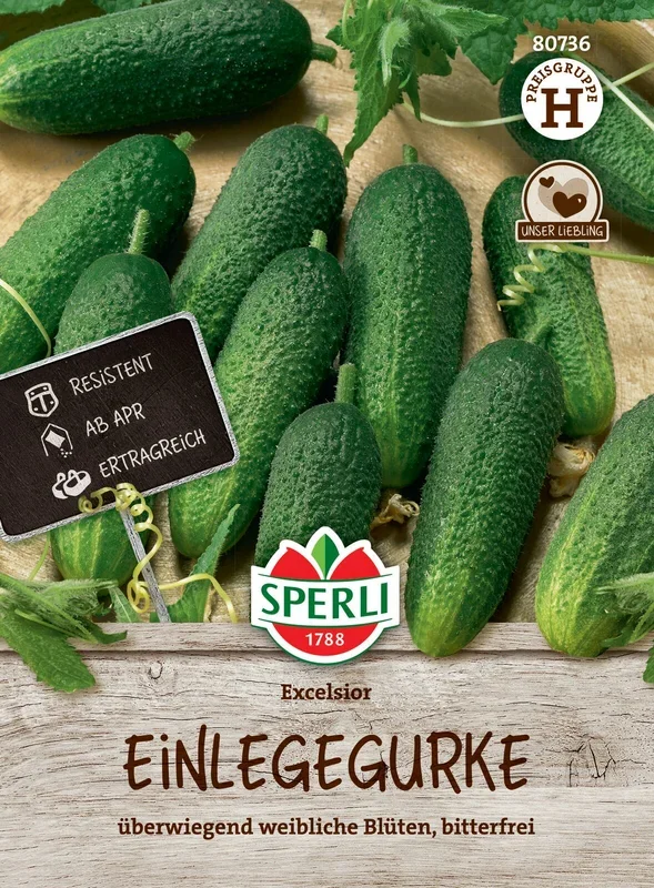 Gurke Excelsior F1-Hybride