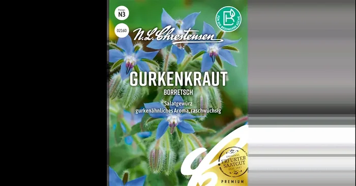 Gurkenkraut Borretsch