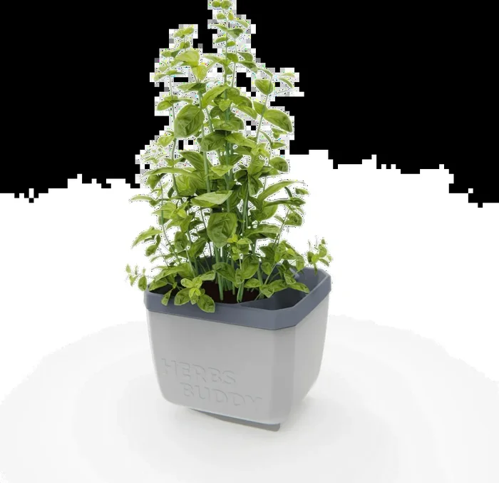 Gusta Garden Herbs Buddy, hellgrau