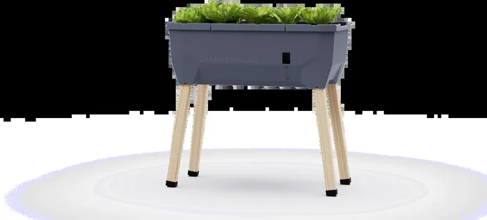 Gusta Garden Sammy Salad Hochbeet – ohne Haube, dunkelgrün