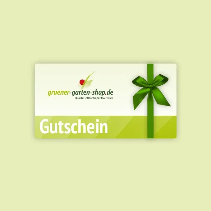 Gutschein 50 Euro