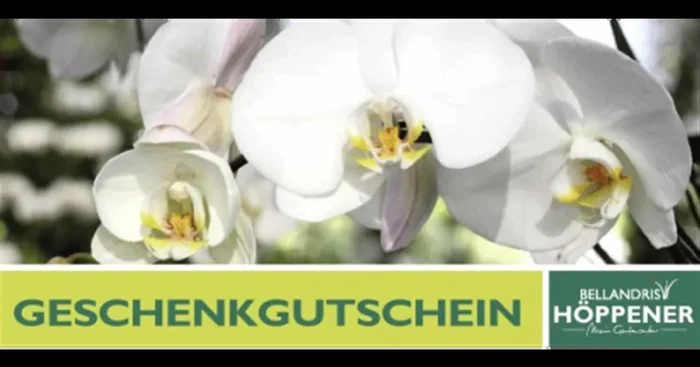 Gutschein Gartencenter Höppener