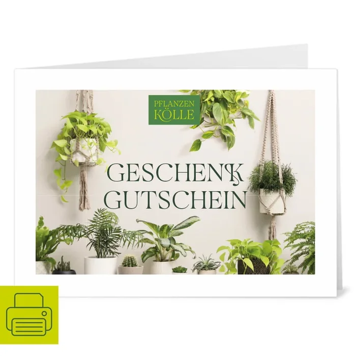 Gutschein zum Ausdrucken ‚Grünpflanze‘