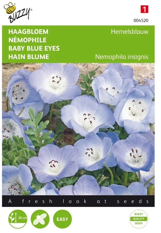 Hain Blume Blau