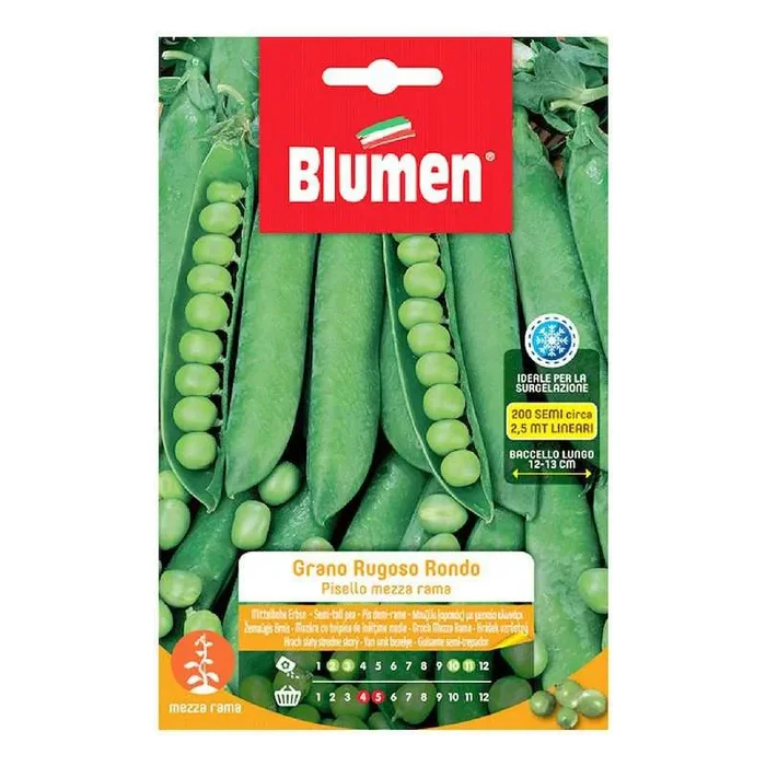 Halbe Rama Erbsenkerne Rondo Wrinkled Grain in Maxi Bag