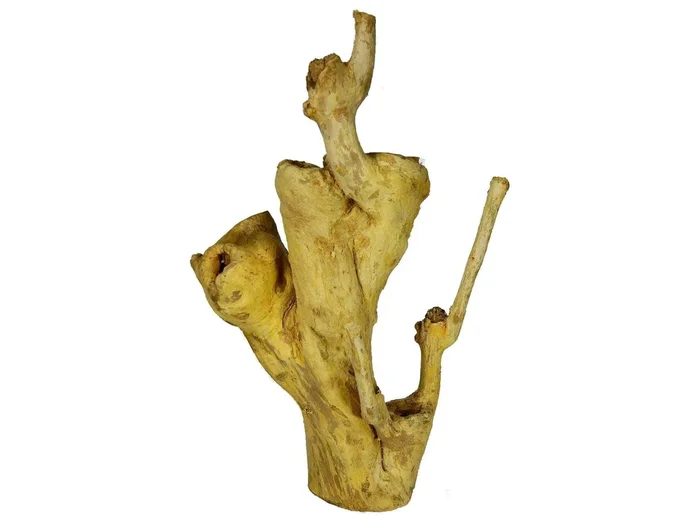 Holz – Kaffee Stamm M